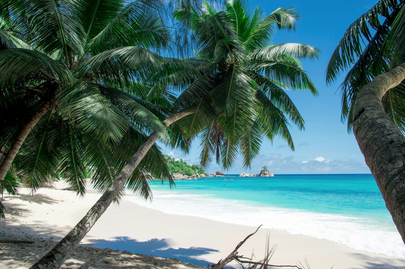 White sand, palm trees and clear turquoise water on a tropical beach